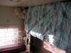Photo Number 6