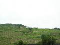 P6070298